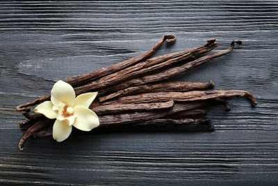 INFUSED ORGANIC BOTANICALS