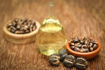 ORGANIC CASTOR OIL